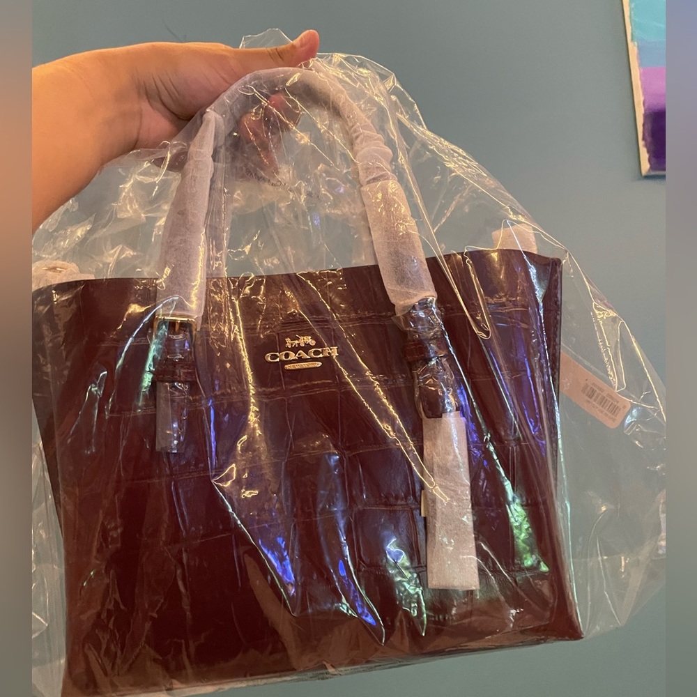 Coach Burgundy Mini Bag